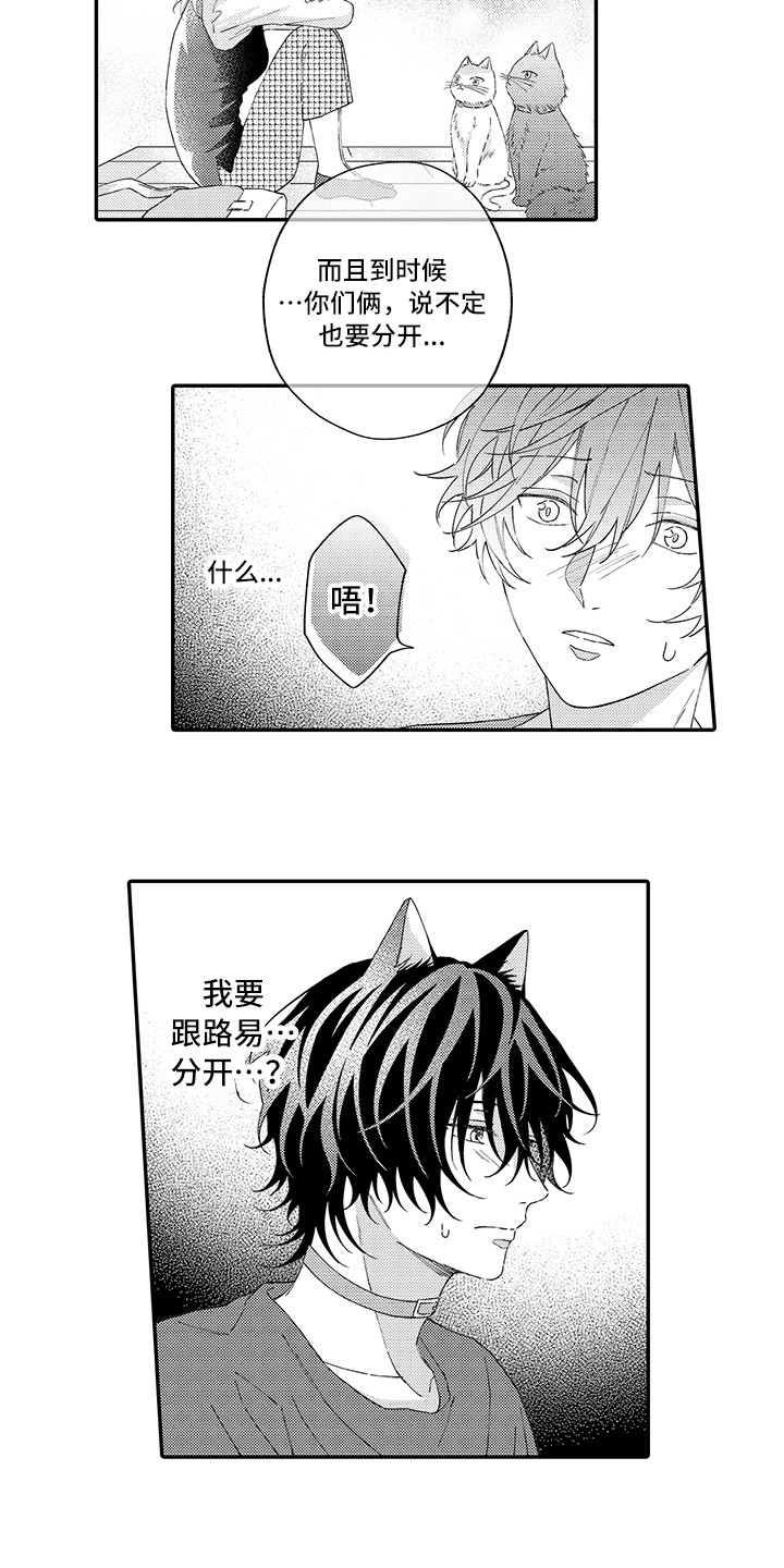 猫咪之家漫画,第15章：坏消息3图
