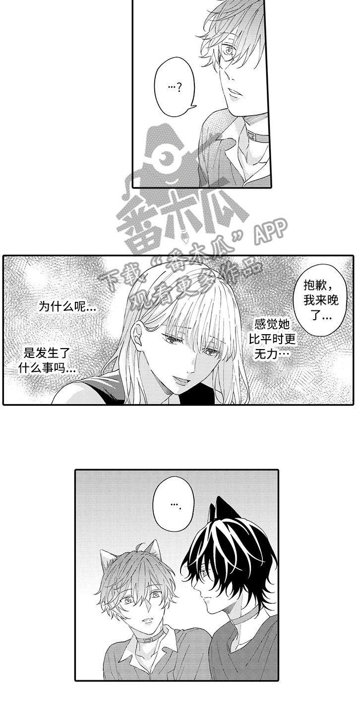 猫咪之家漫画,第15章：坏消息5图