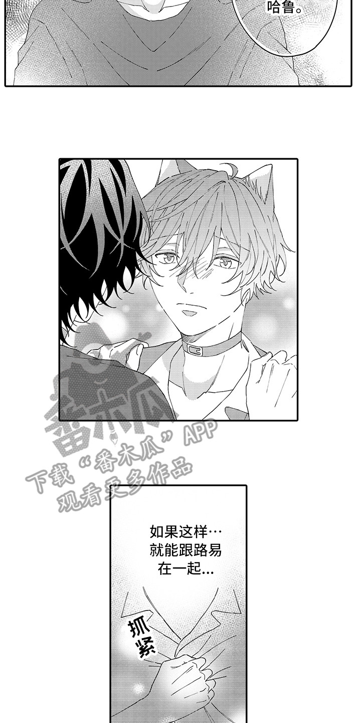 猫咪之家漫画,第16章：私奔4图