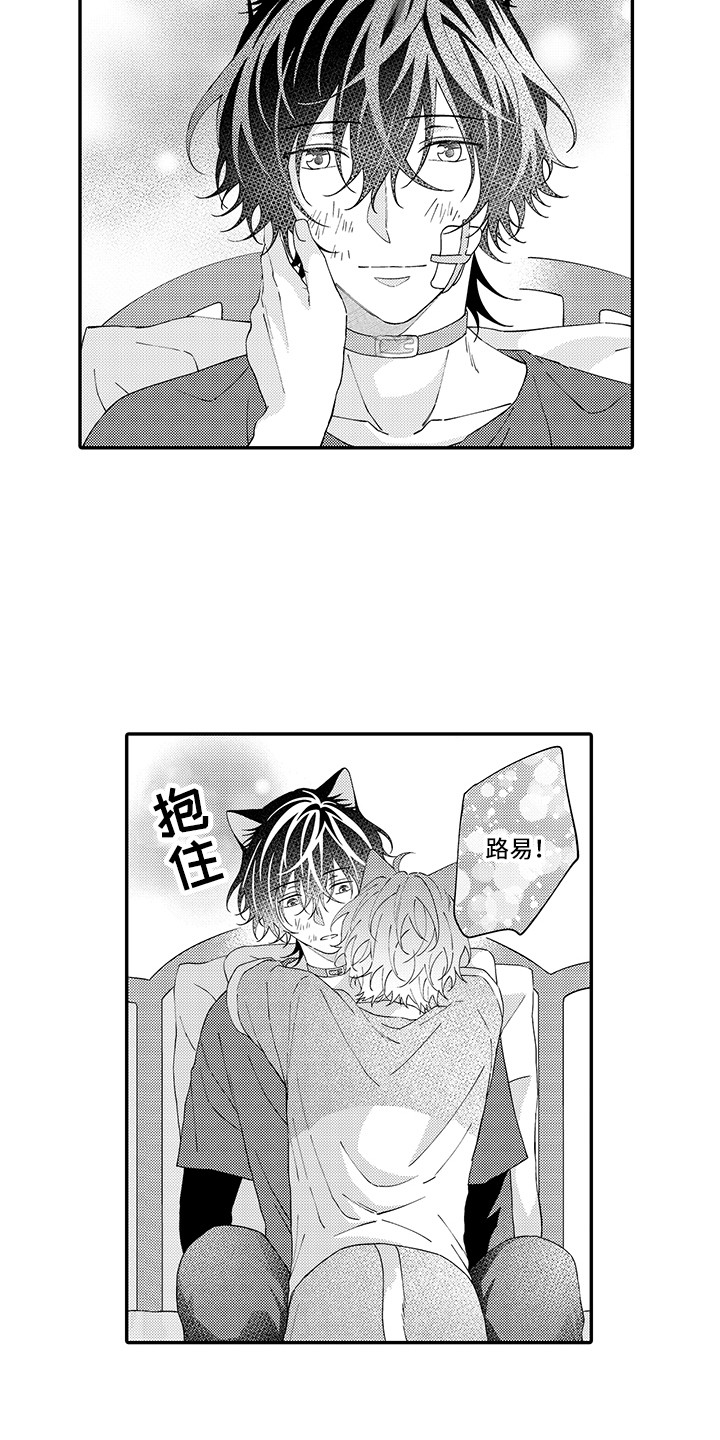 猫咪之家漫画,第20章：求救3图