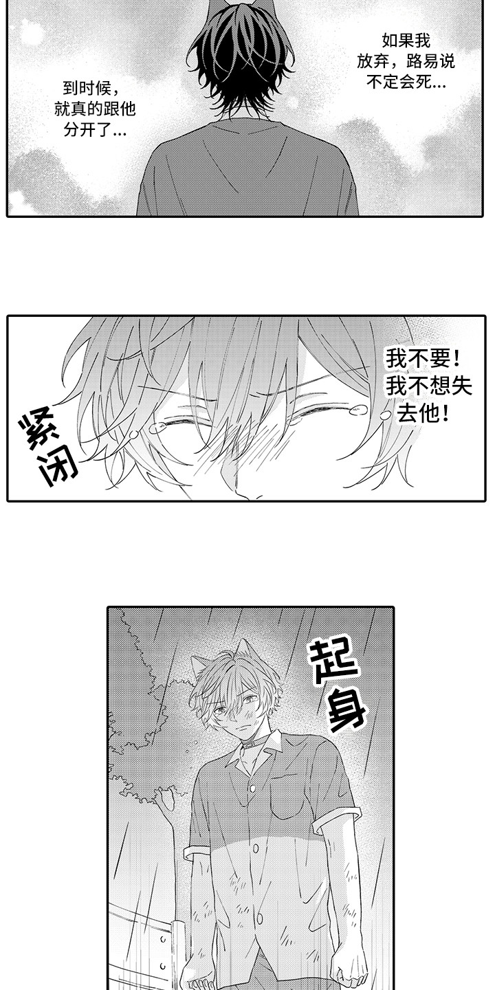 猫咪之家漫画,第19章：急切5图