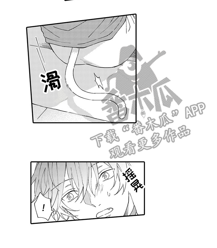猫咪之家漫画,第9章：心跳加快3图