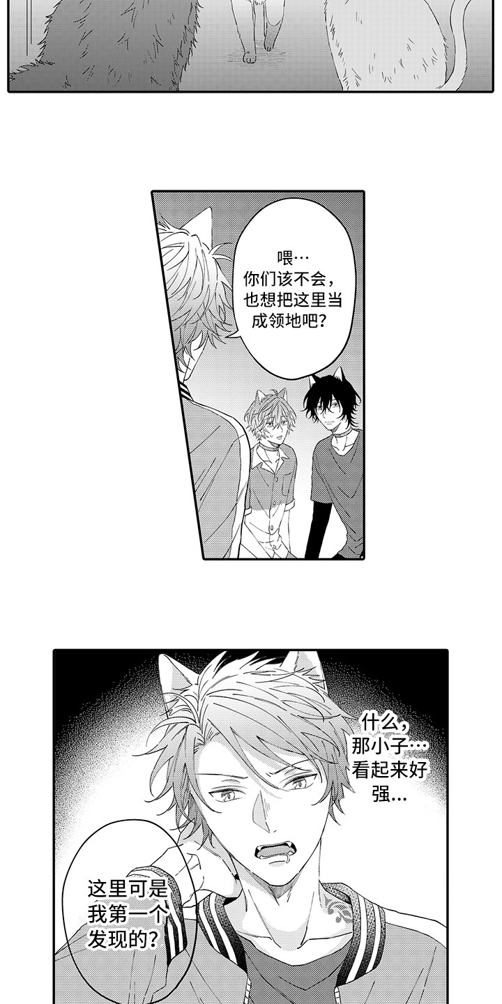 猫咪之家漫画,第17章：保护2图