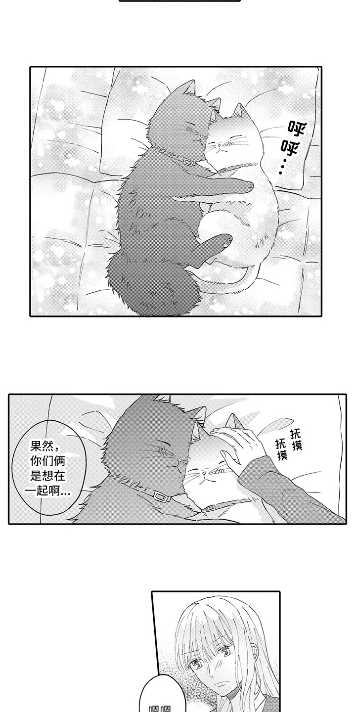 猫咪之家漫画,第21章：下决心2图
