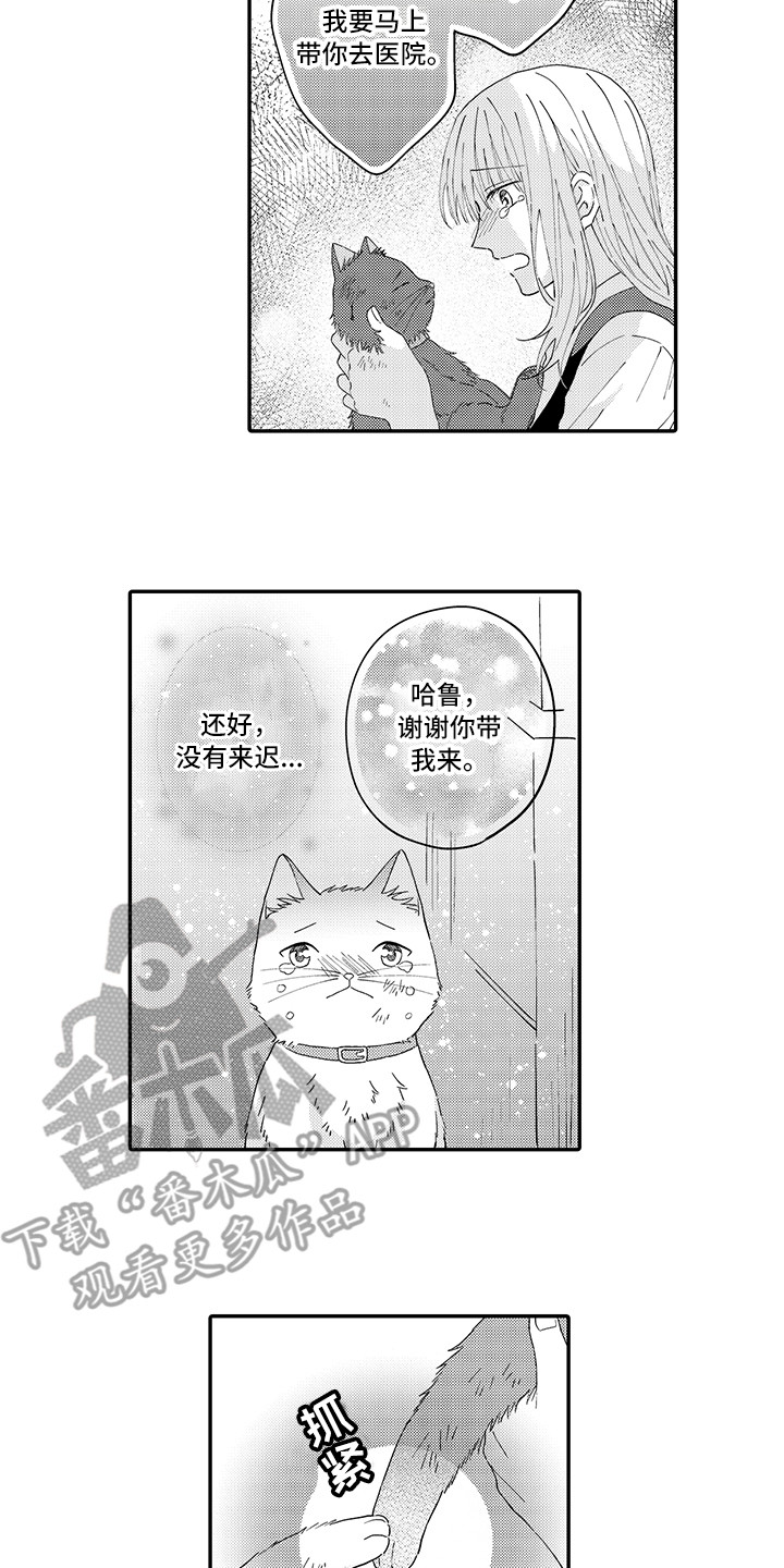 猫咪之家漫画,第20章：求救5图