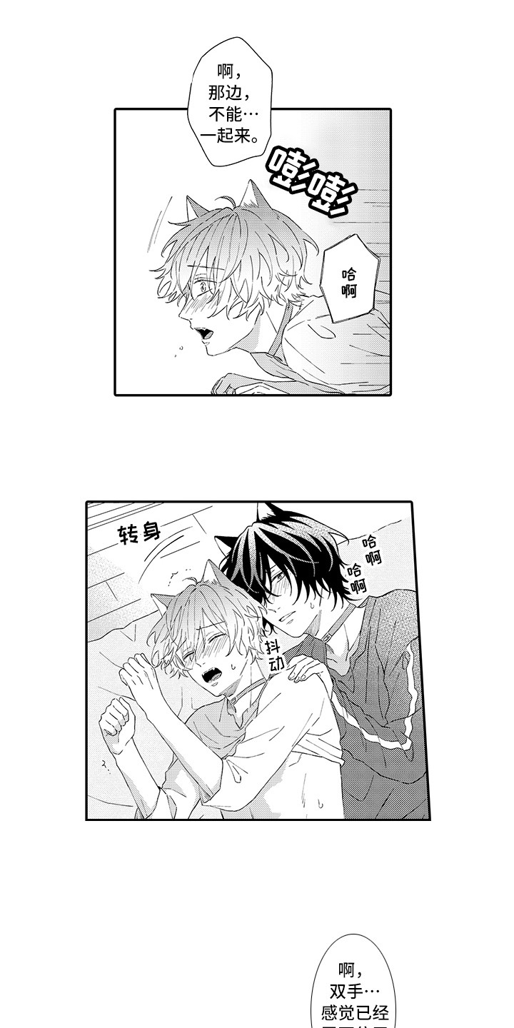 猫咪之家漫画,第8章：不再讨厌4图