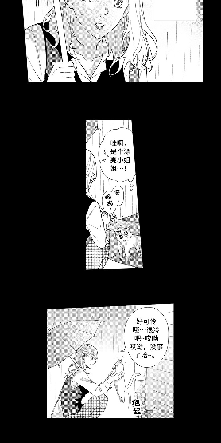 猫咪之家漫画,第1章：两只小猫3图