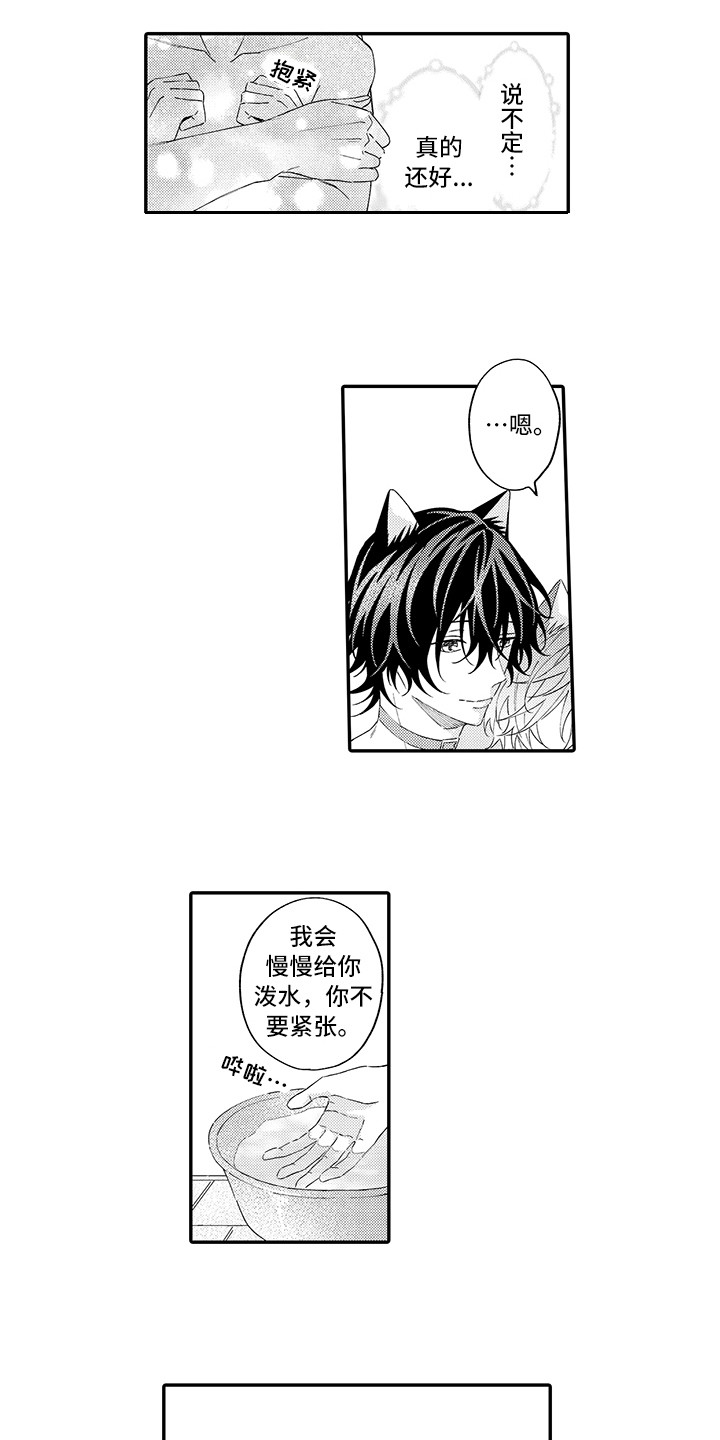 猫咪之家漫画,第13章：洗一洗2图
