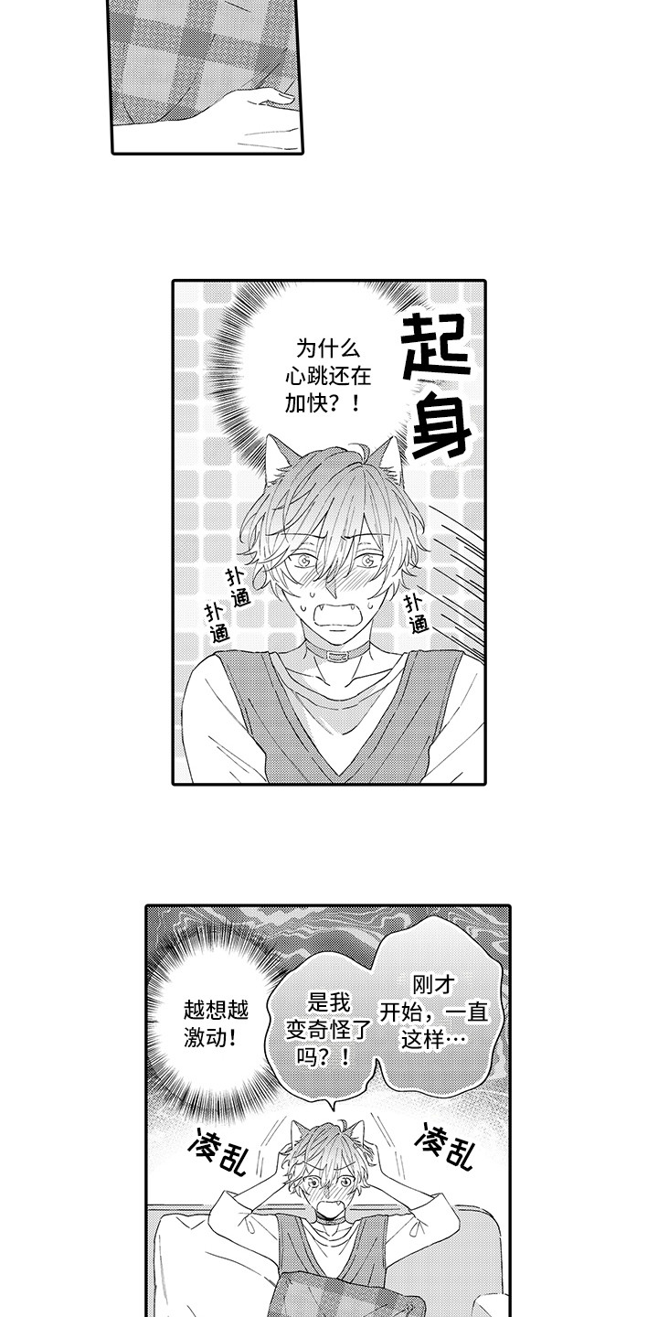 猫咪之家漫画,第9章：心跳加快1图