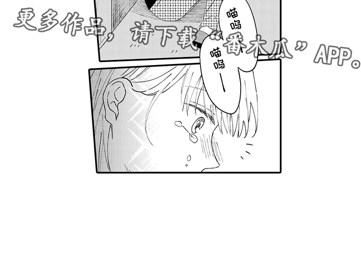 猫咪之家漫画,第19章：急切3图