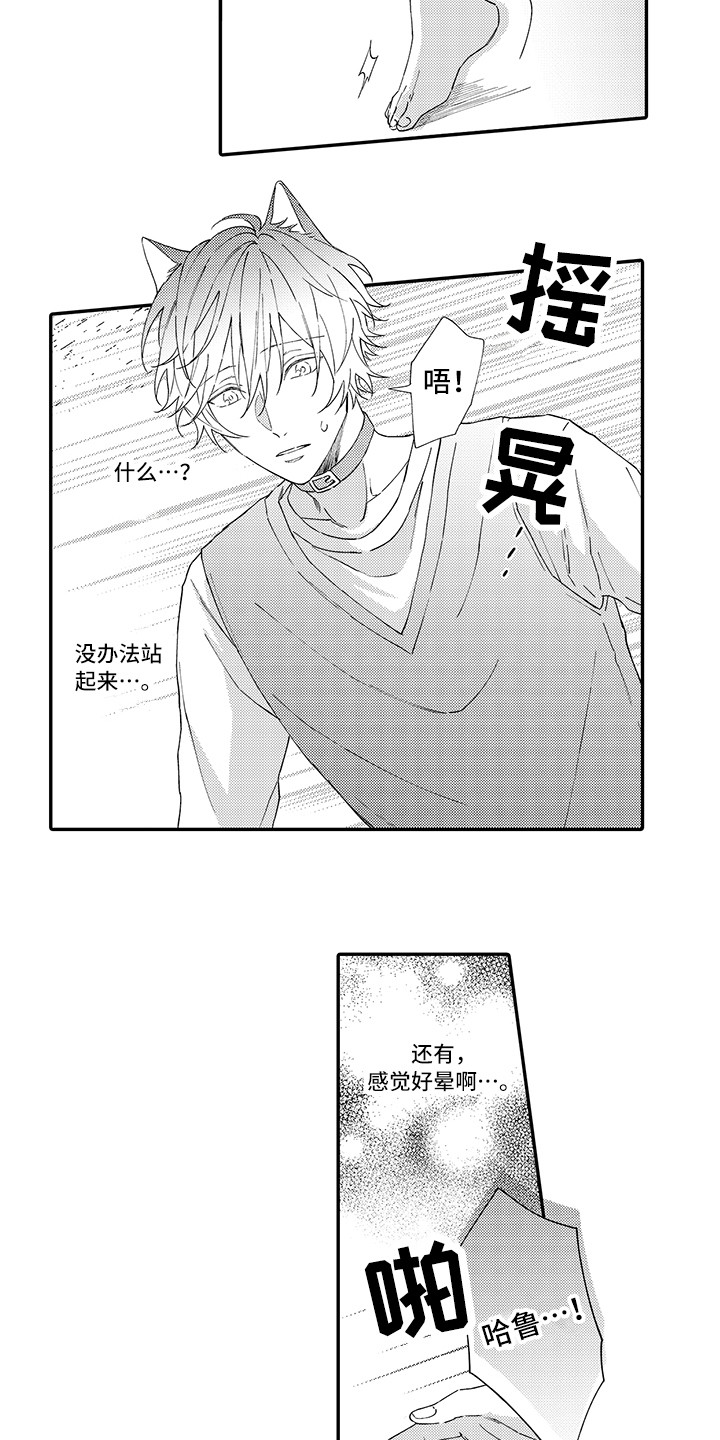 猫咪之家漫画,第3章：发烧2图