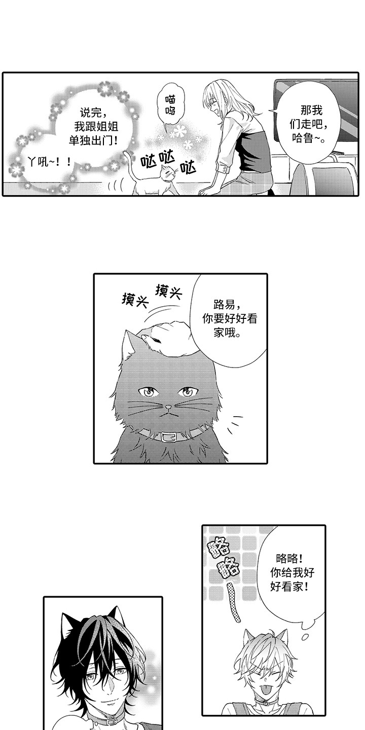 猫咪之家漫画,第2章：好胜心3图