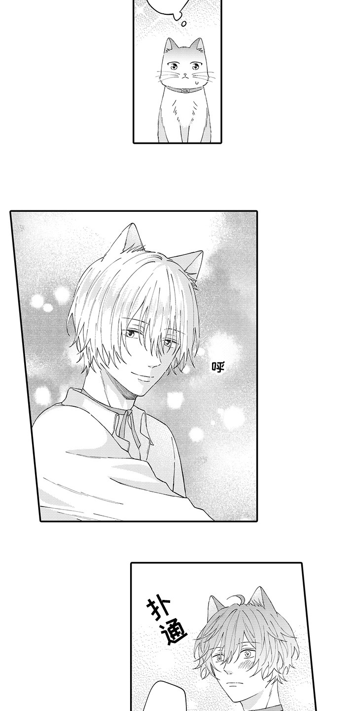 猫咪之家漫画,第23章：嫉妒2图