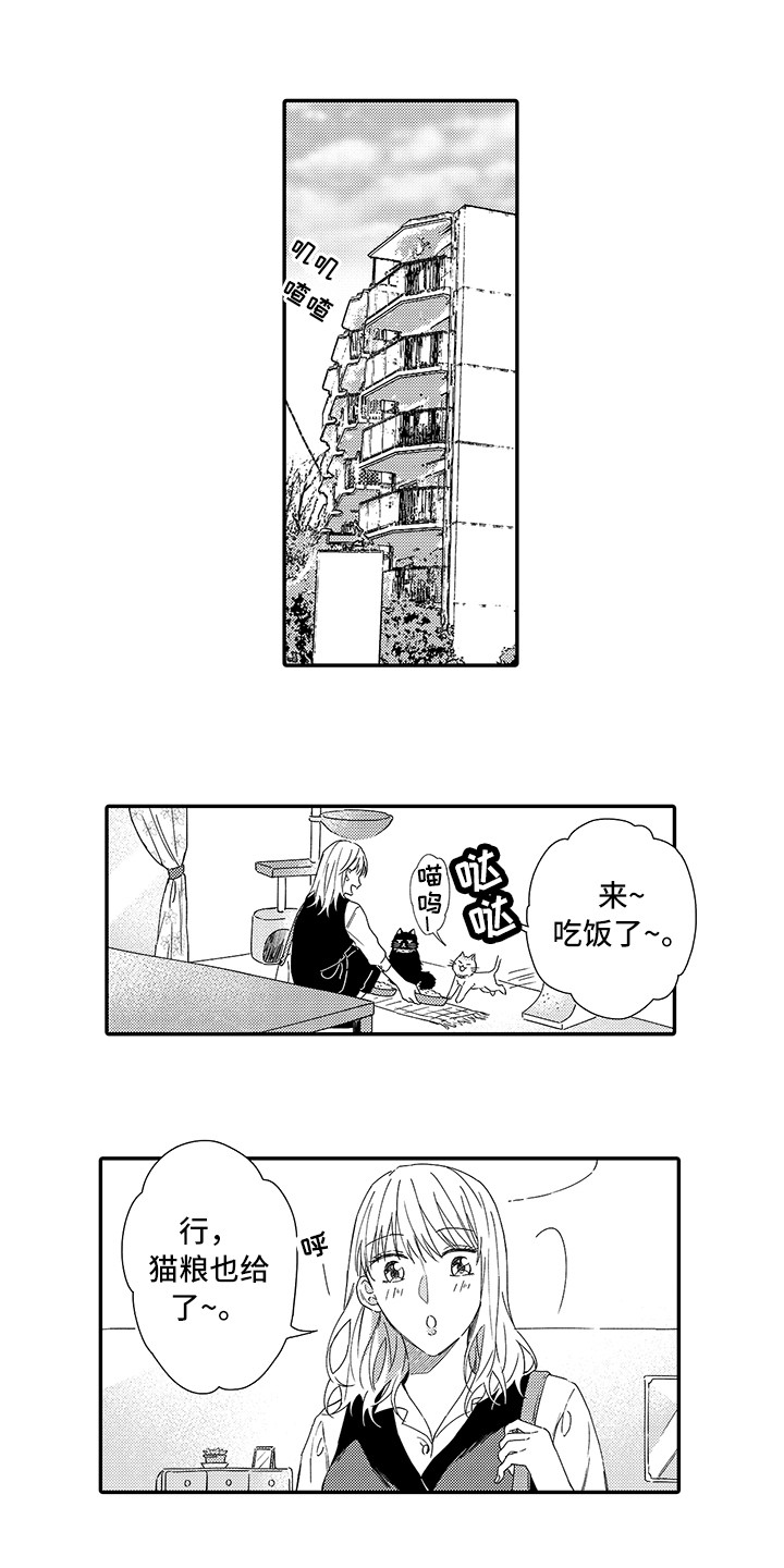 猫咪之家漫画,第1章：两只小猫1图
