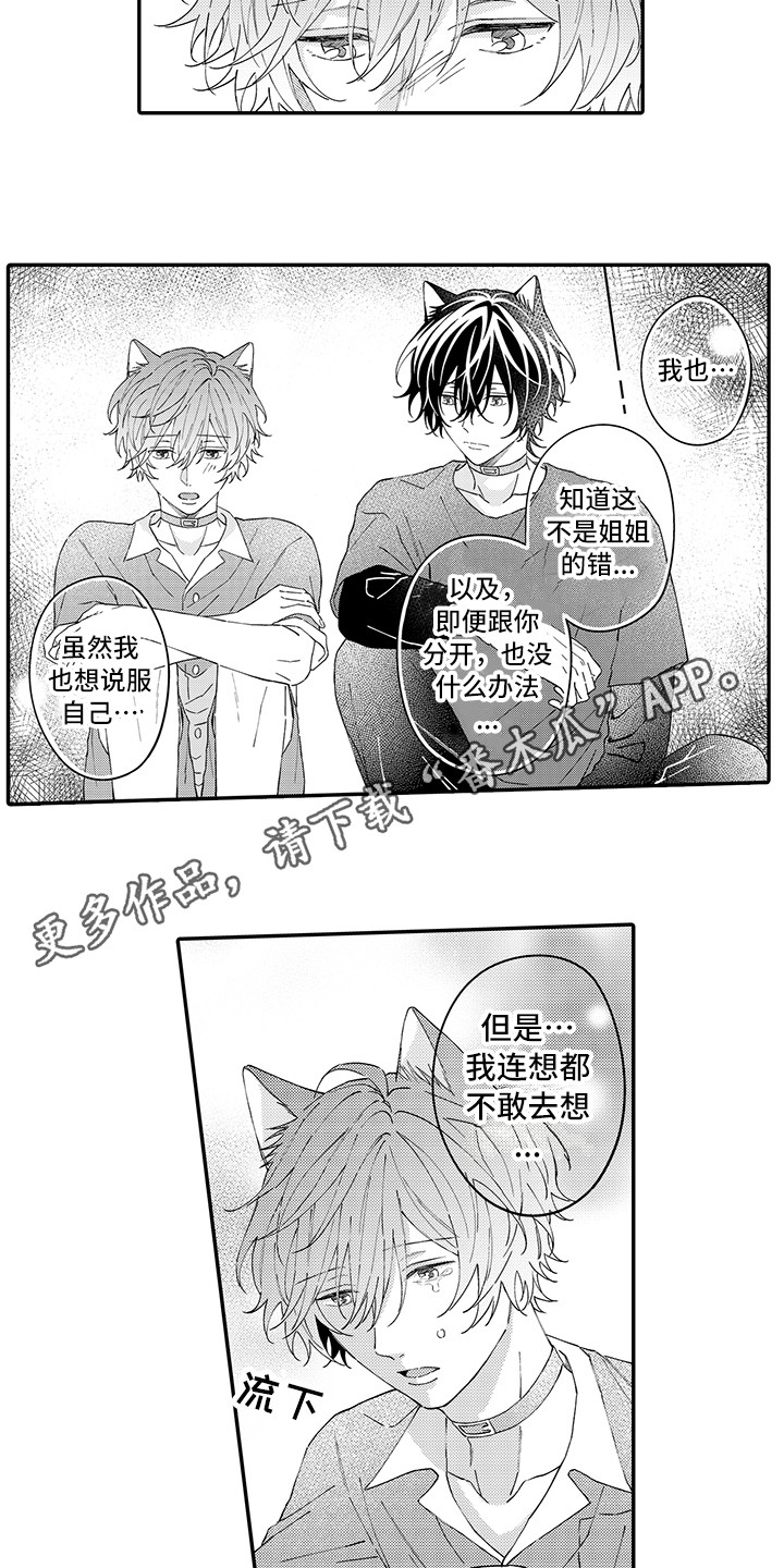 猫咪之家漫画,第16章：私奔3图
