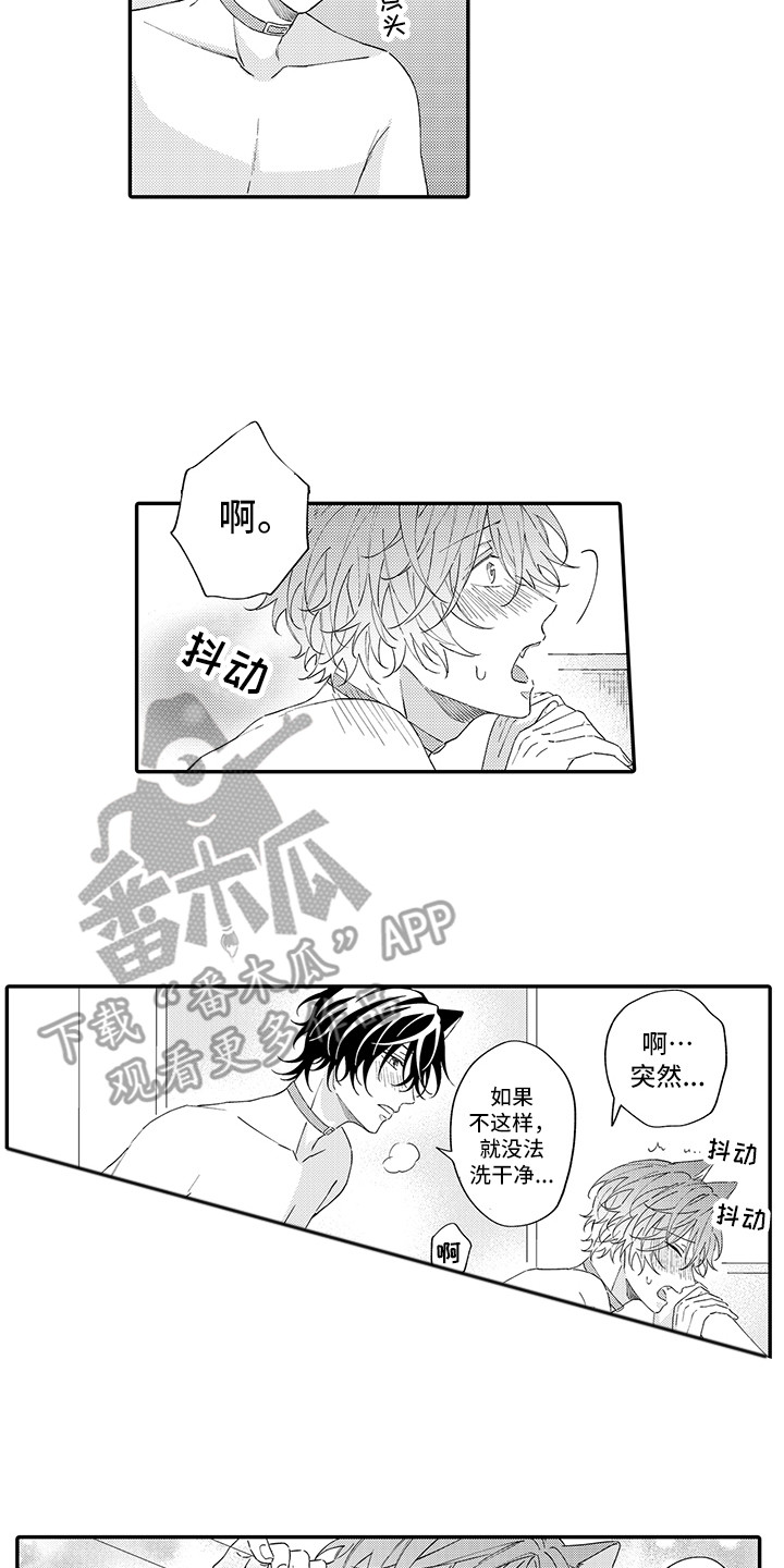 猫咪之家漫画,第13章：洗一洗1图