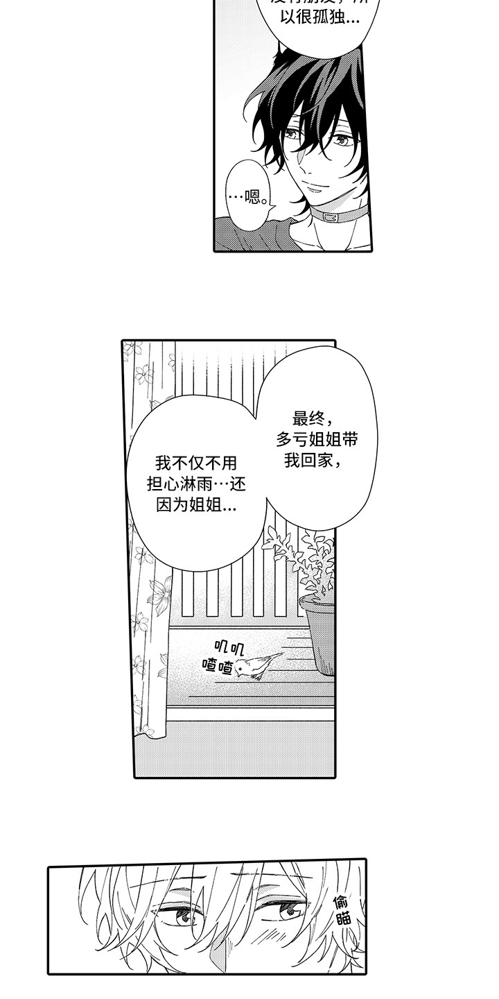 猫咪之家漫画,第5章：倾诉5图