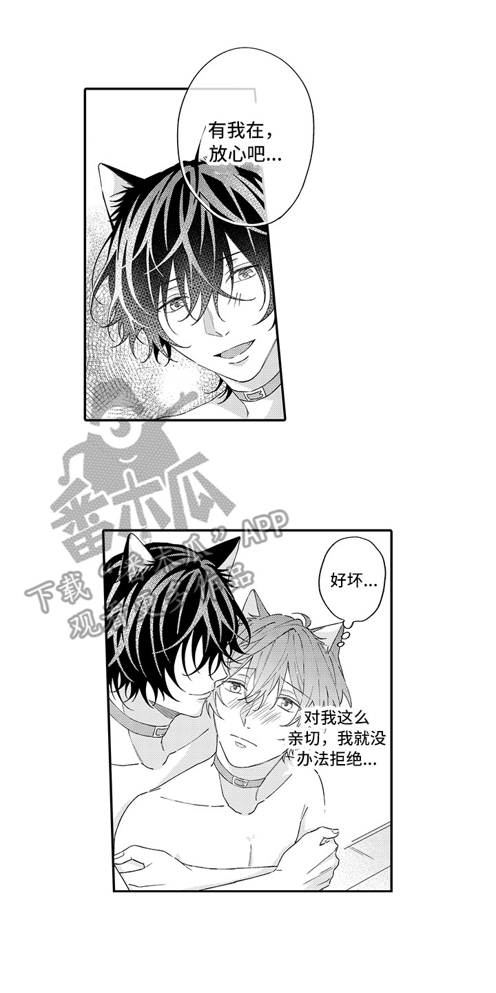 猫咪之家漫画,第13章：洗一洗1图