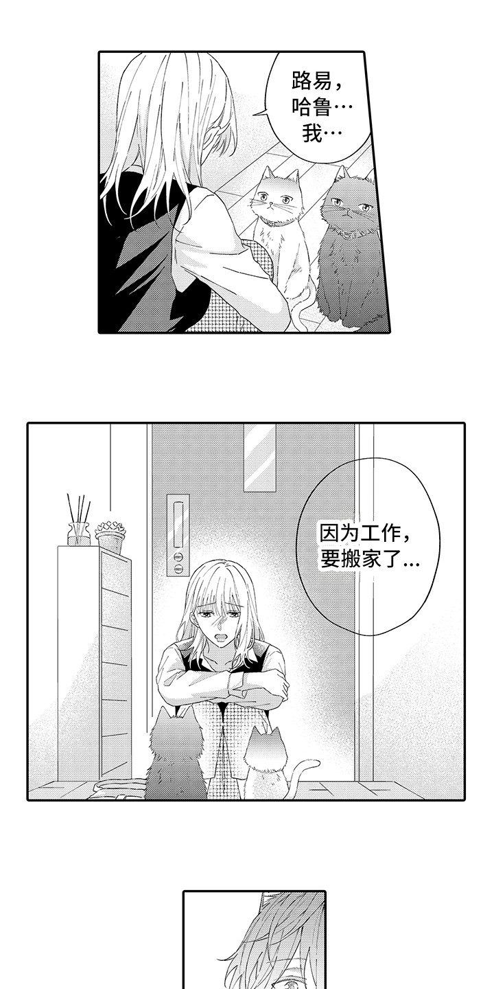 猫咪之家漫画,第15章：坏消息1图
