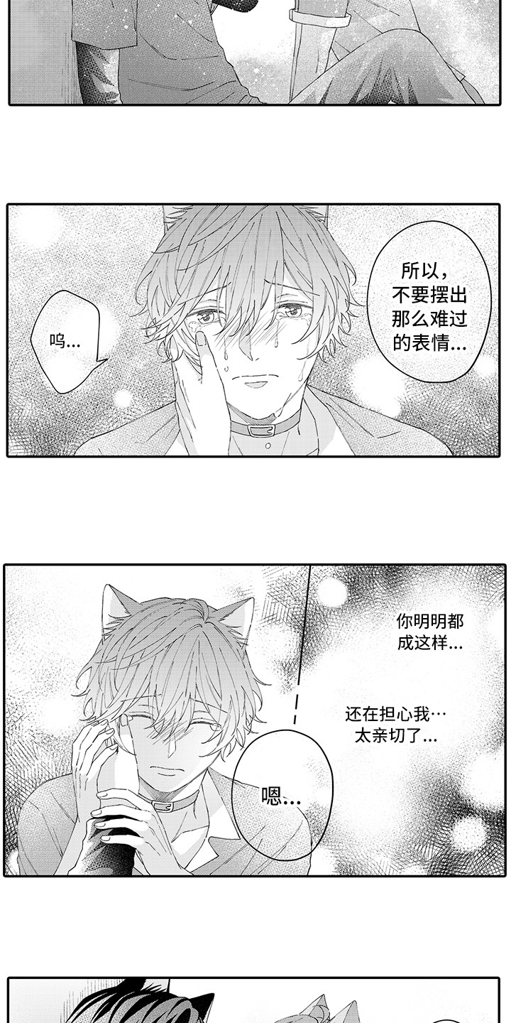 猫咪之家漫画,第18章：受伤了1图