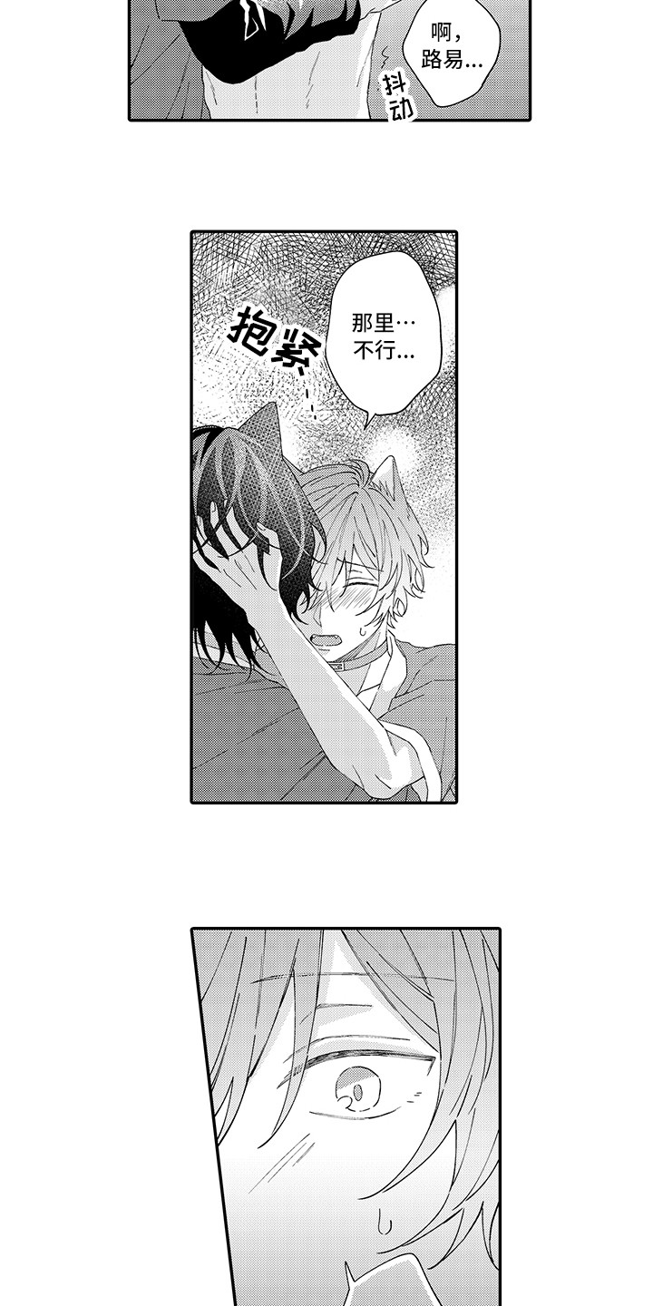 猫咪之家漫画,第18章：受伤了3图