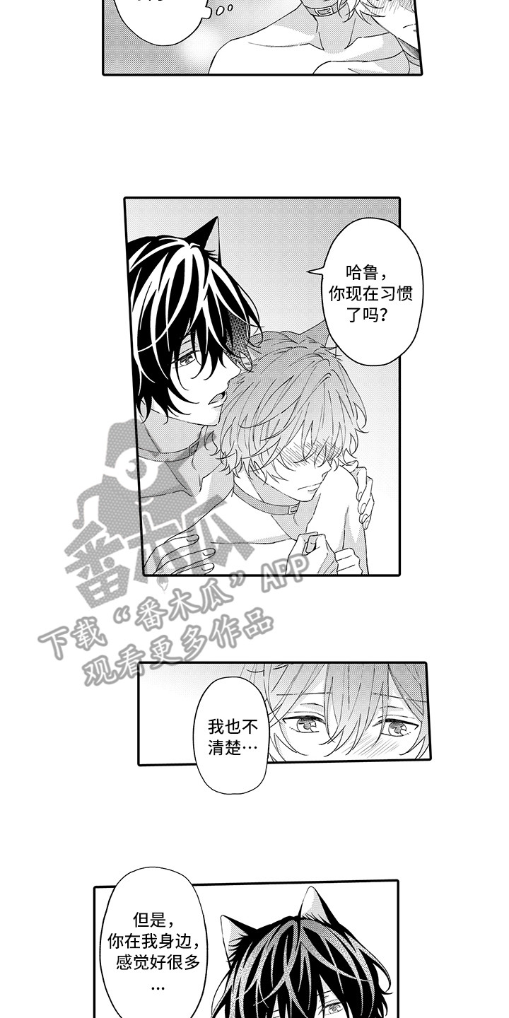 猫咪之家漫画,第13章：洗一洗5图