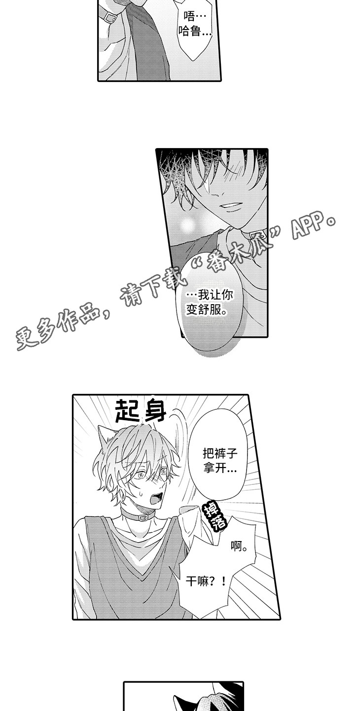 猫咪之家漫画,第4章：照顾3图
