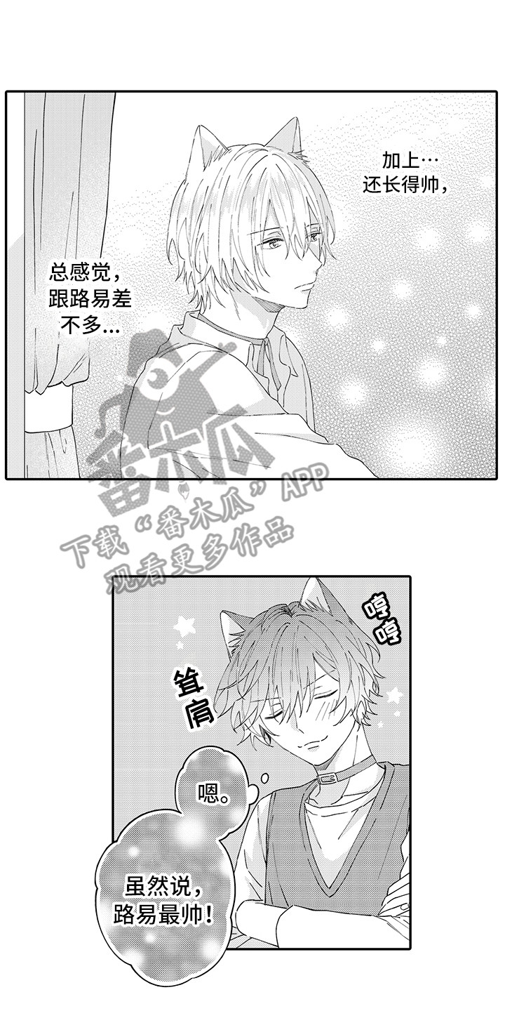 猫咪之家漫画,第22章：新家4图