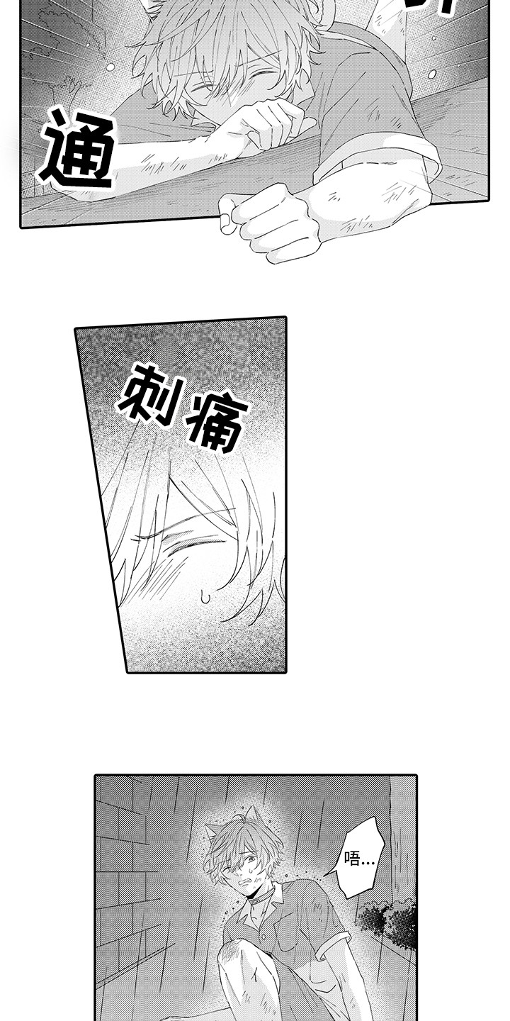 猫咪之家漫画,第19章：急切1图