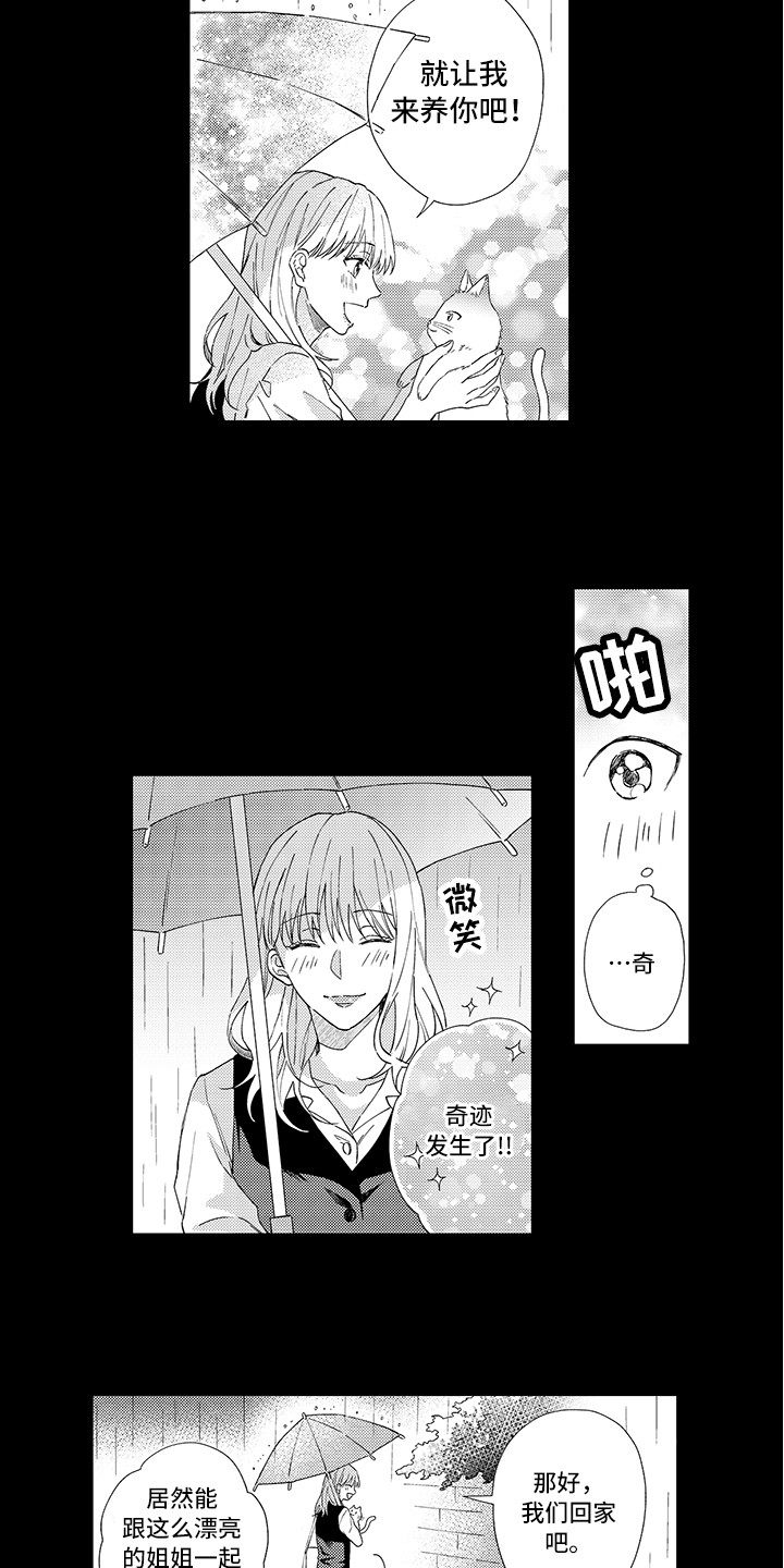 猫咪之家漫画,第1章：两只小猫5图