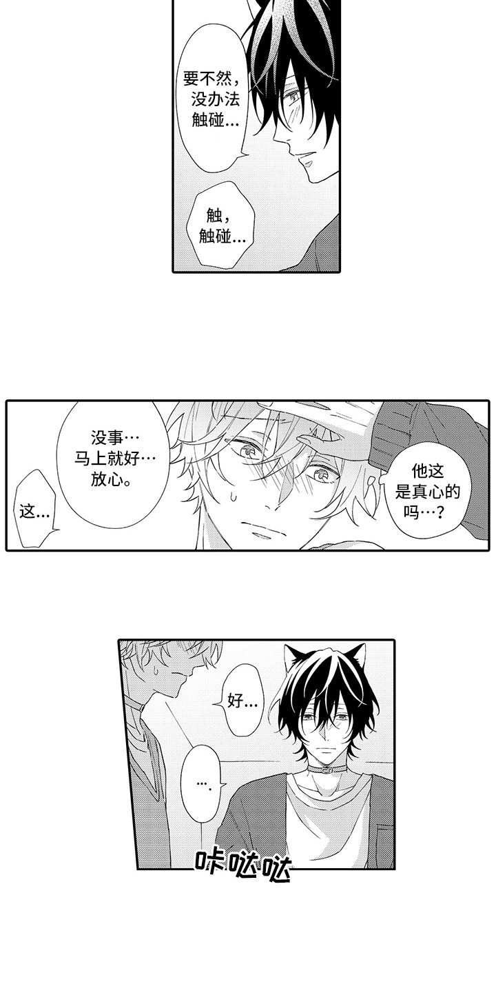 猫咪之家漫画,第4章：照顾4图