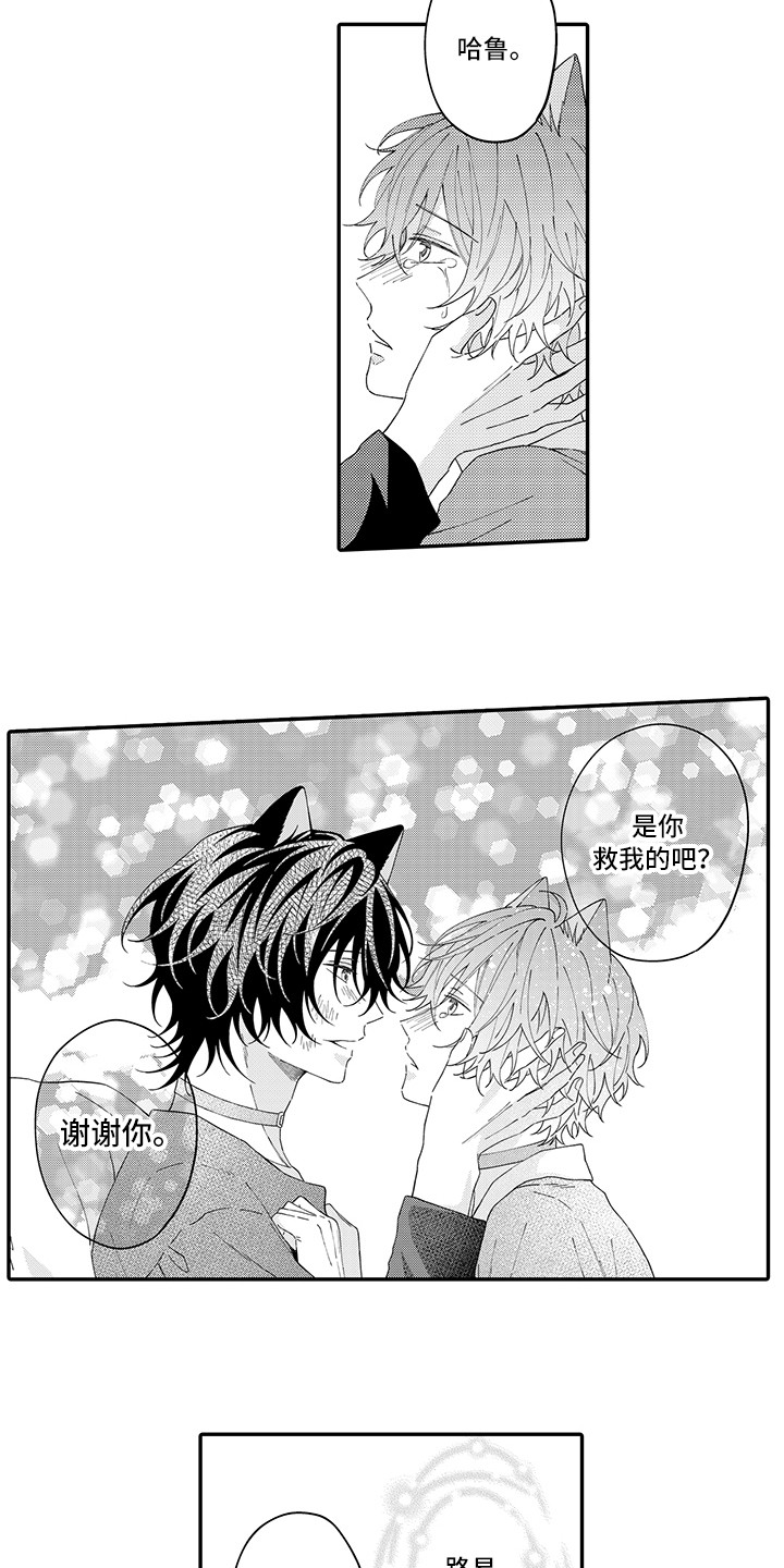 猫咪之家漫画,第20章：求救5图