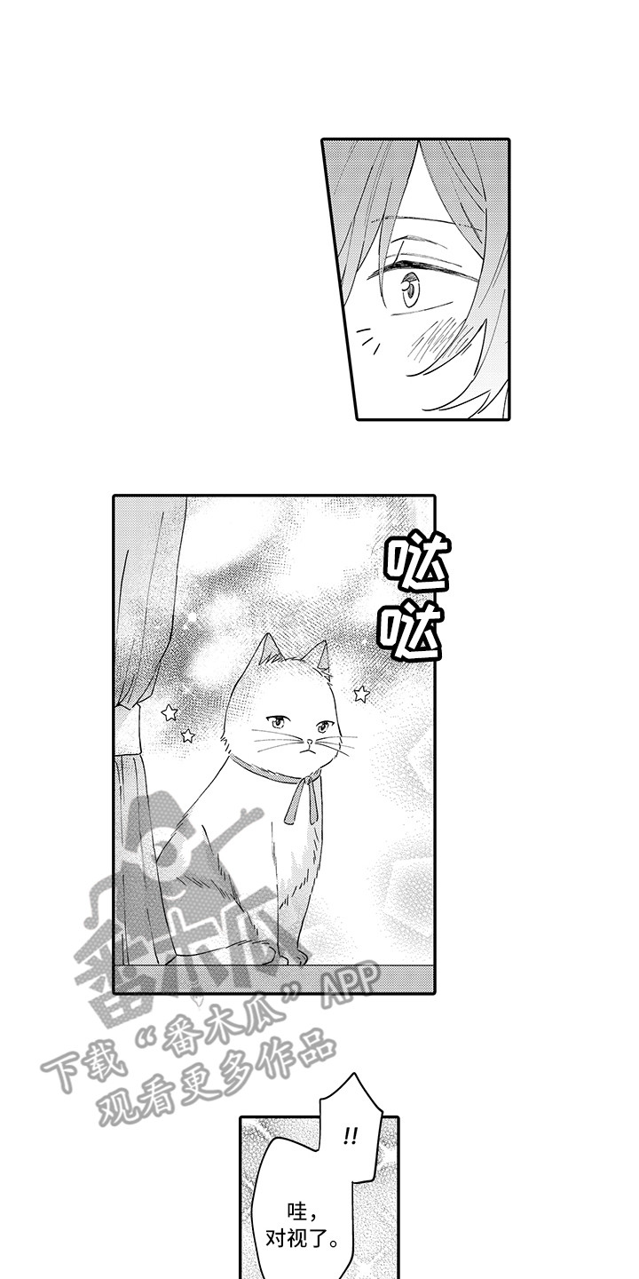猫咪之家漫画,第23章：嫉妒1图
