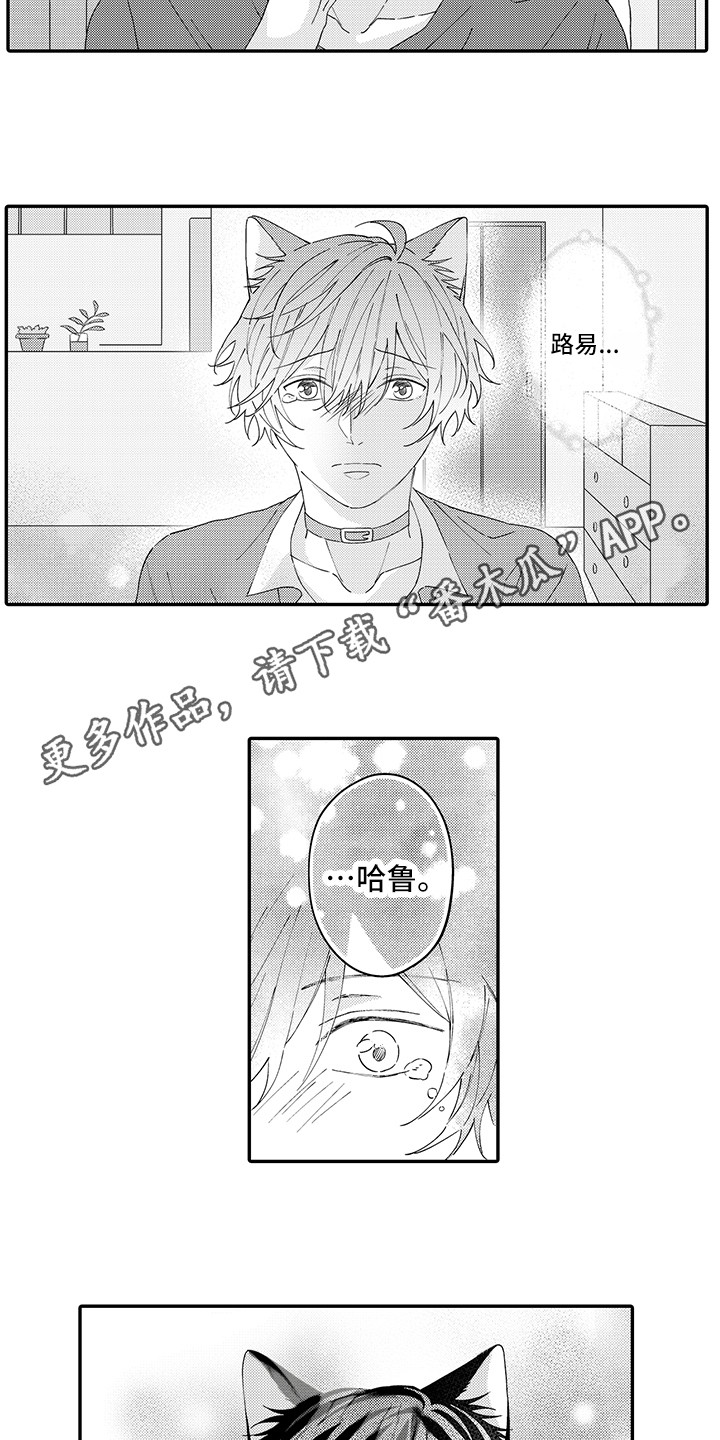 猫咪之家漫画,第20章：求救2图