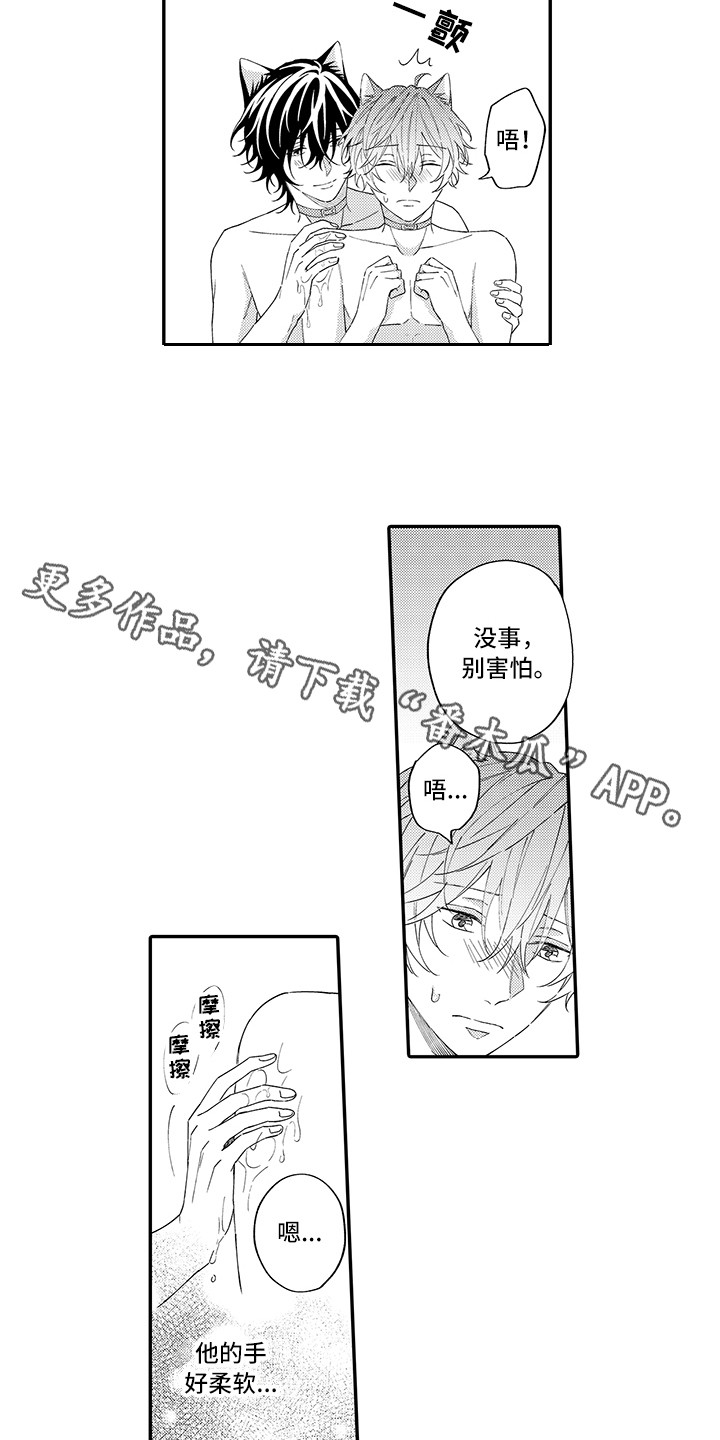 猫咪之家漫画,第13章：洗一洗3图
