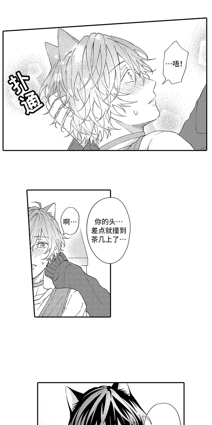 猫咪之家漫画,第10章：表白2图