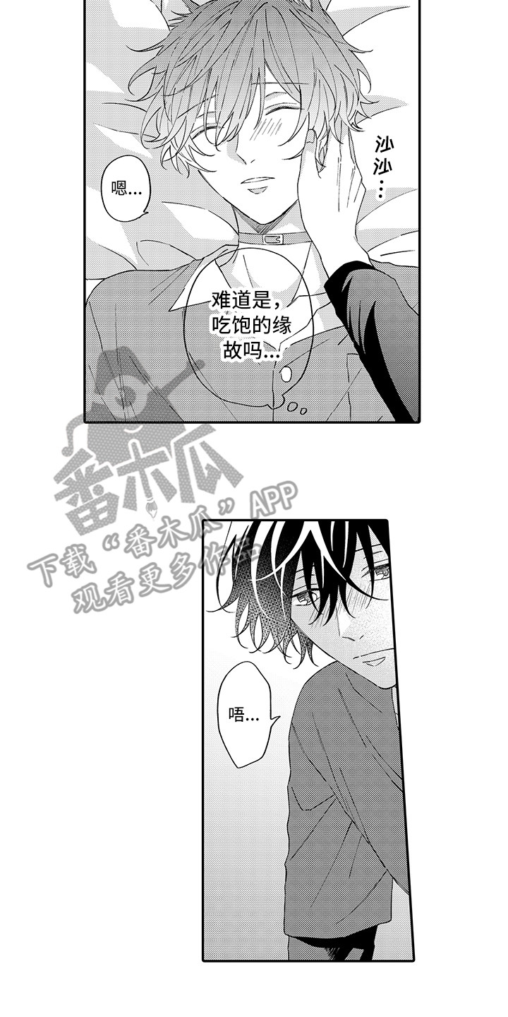 猫咪之家漫画,第14章：睡着了4图
