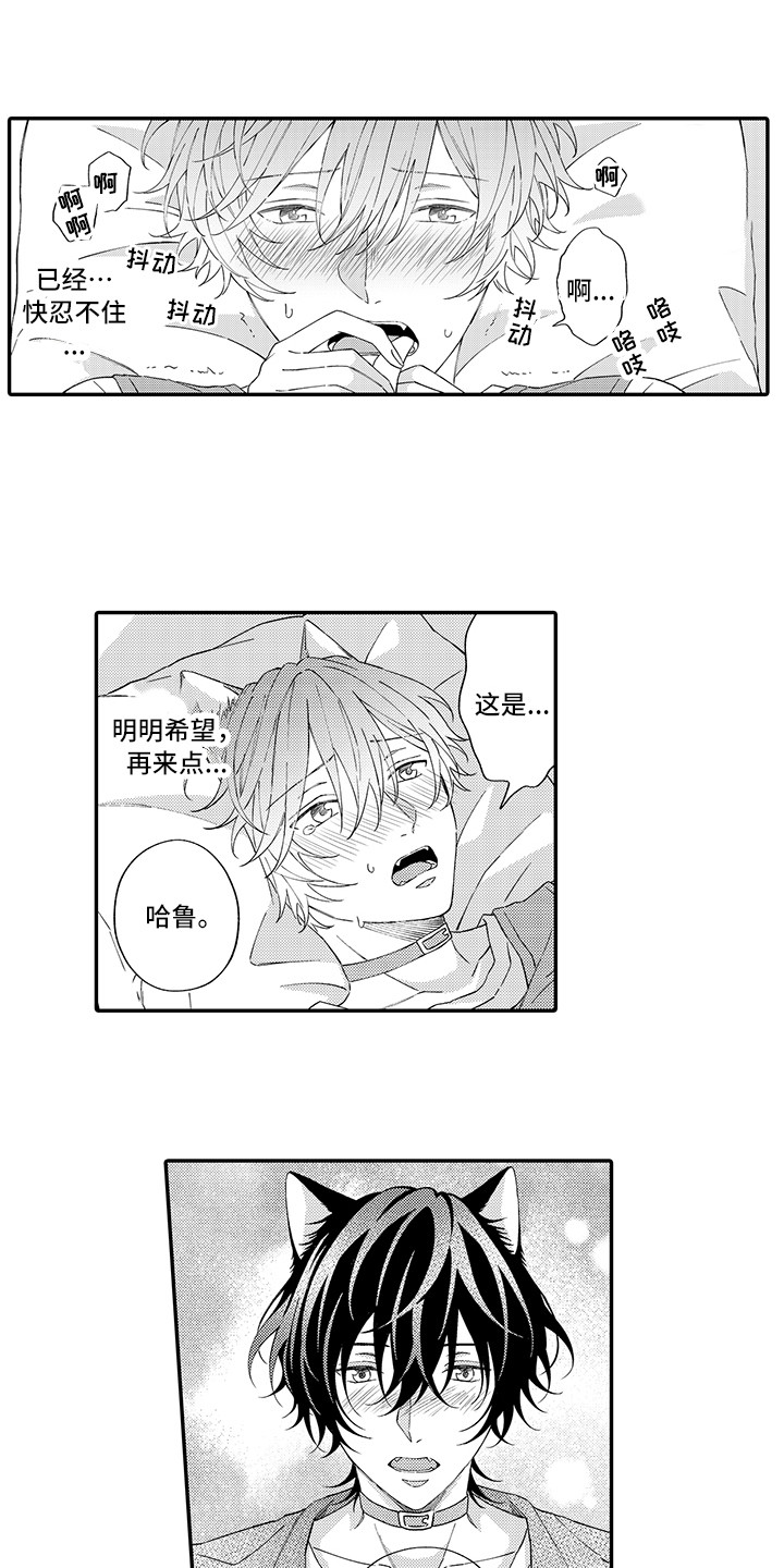 猫咪之家漫画,第11章：很开心1图