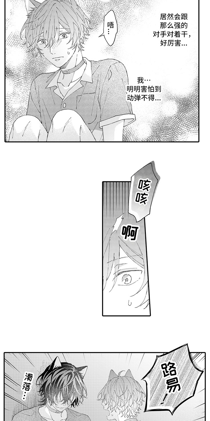 猫咪之家漫画,第18章：受伤了2图