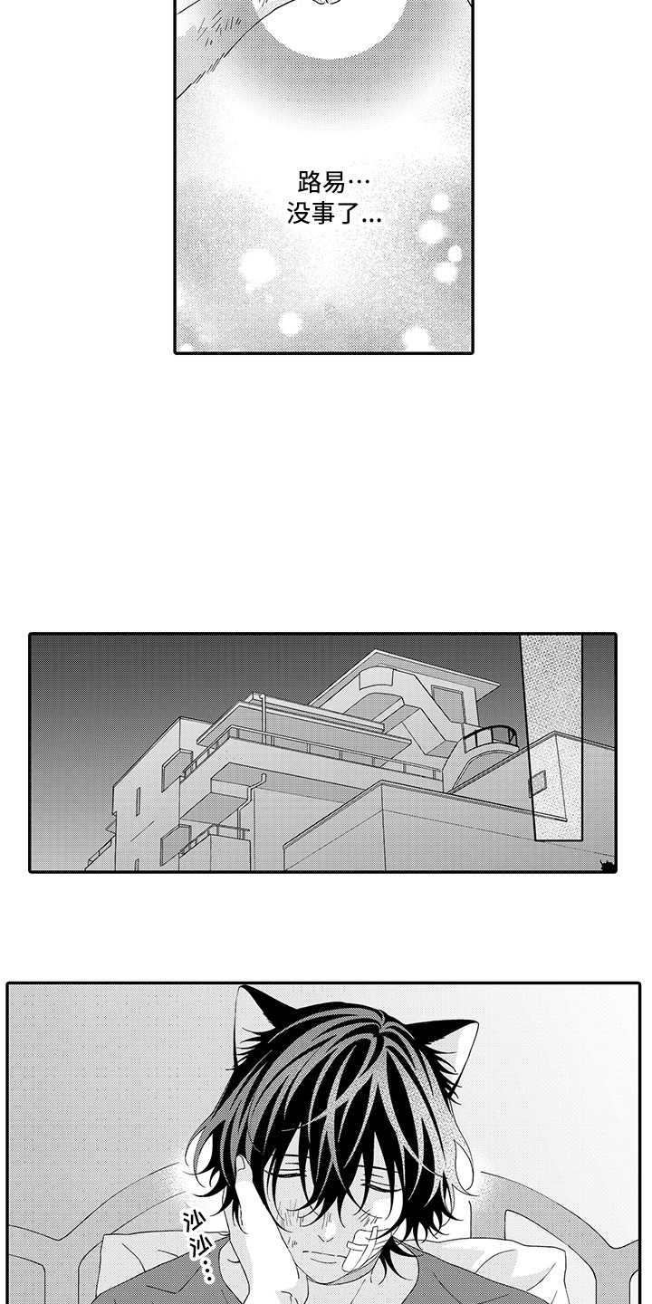 猫咪之家漫画,第20章：求救1图
