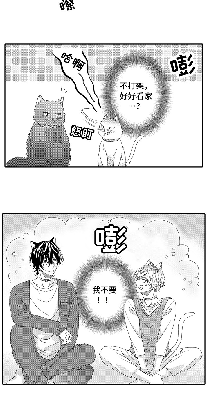 猫咪之家漫画,第1章：两只小猫3图
