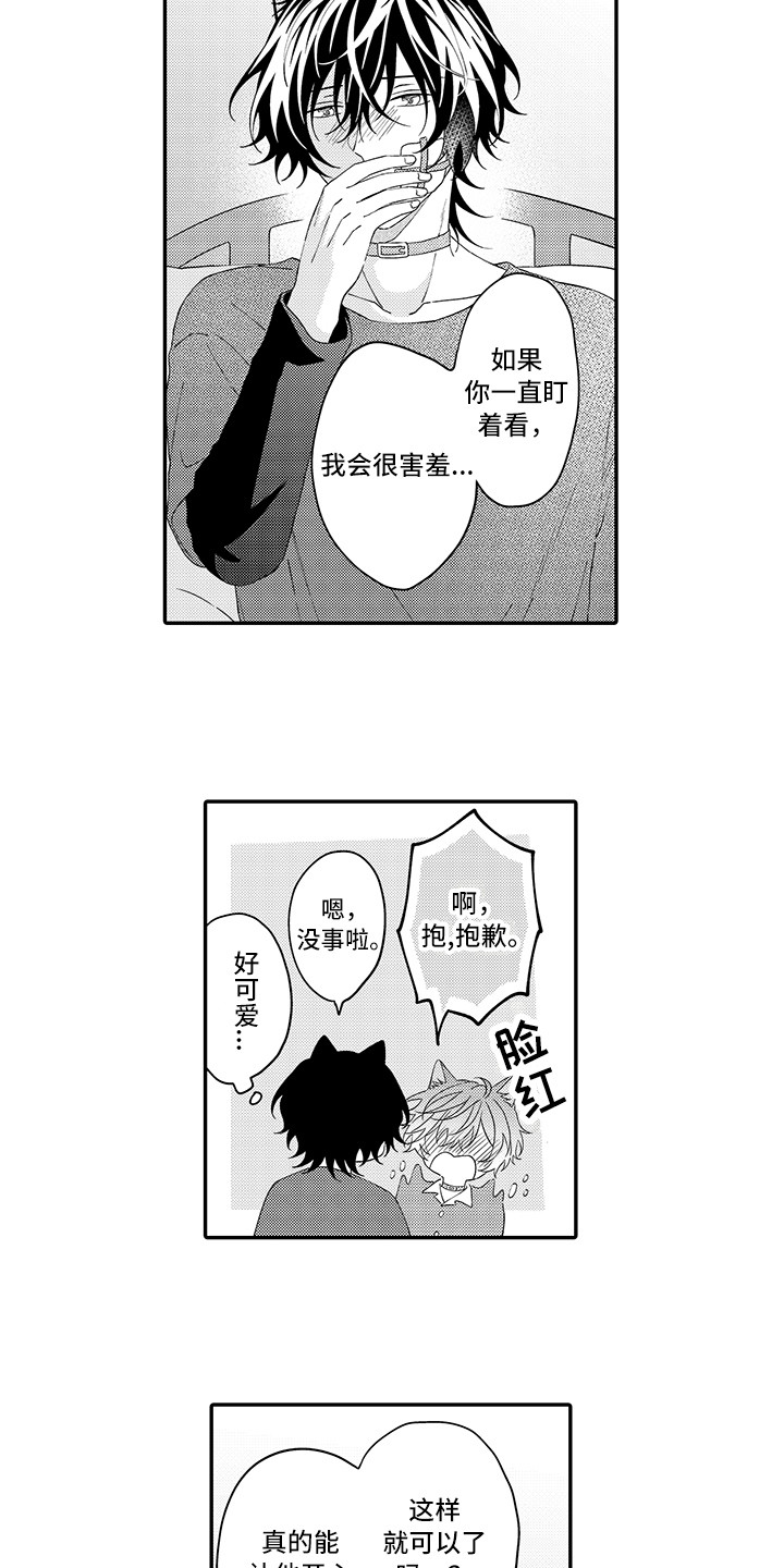猫咪之家漫画,第21章：下决心1图