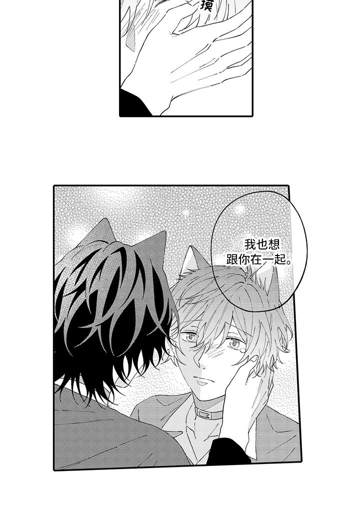 猫咪之家漫画,第20章：求救4图