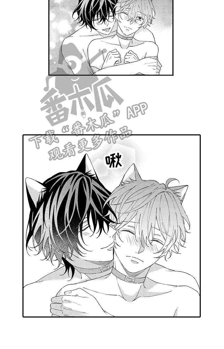 猫咪之家漫画,第12章：怕水3图