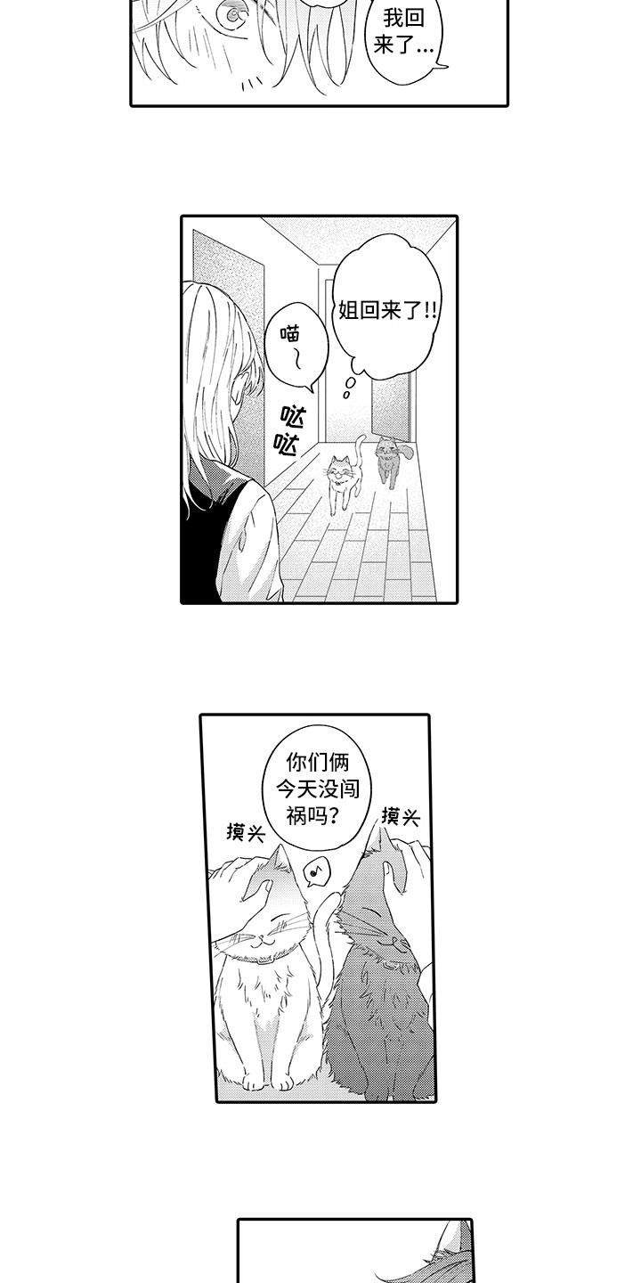 猫咪之家漫画,第15章：坏消息4图