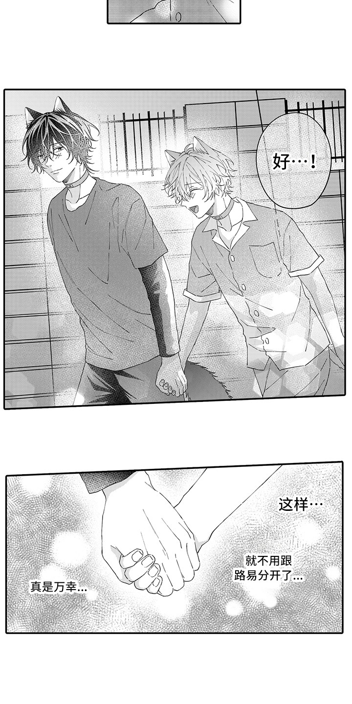 猫咪之家漫画,第16章：私奔5图