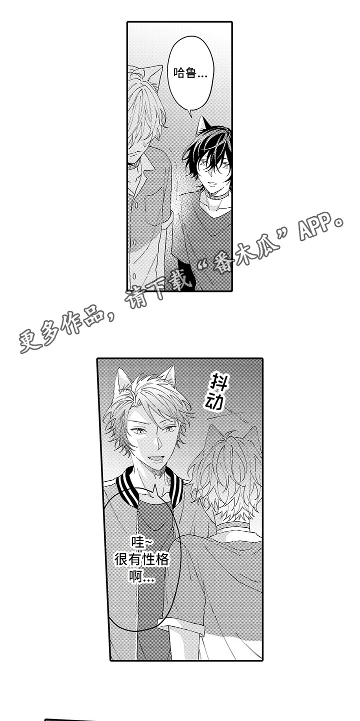 猫咪之家漫画,第17章：保护2图