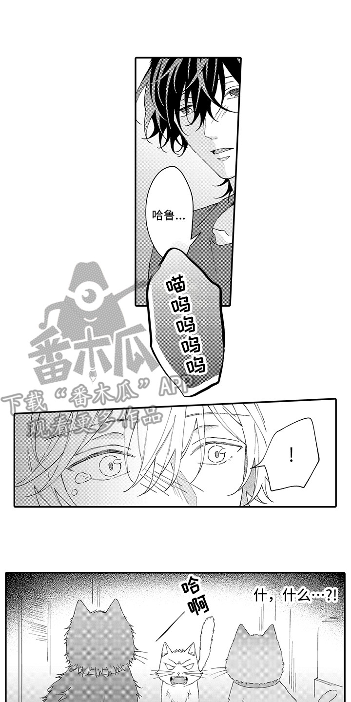 猫咪之家漫画,第17章：保护1图