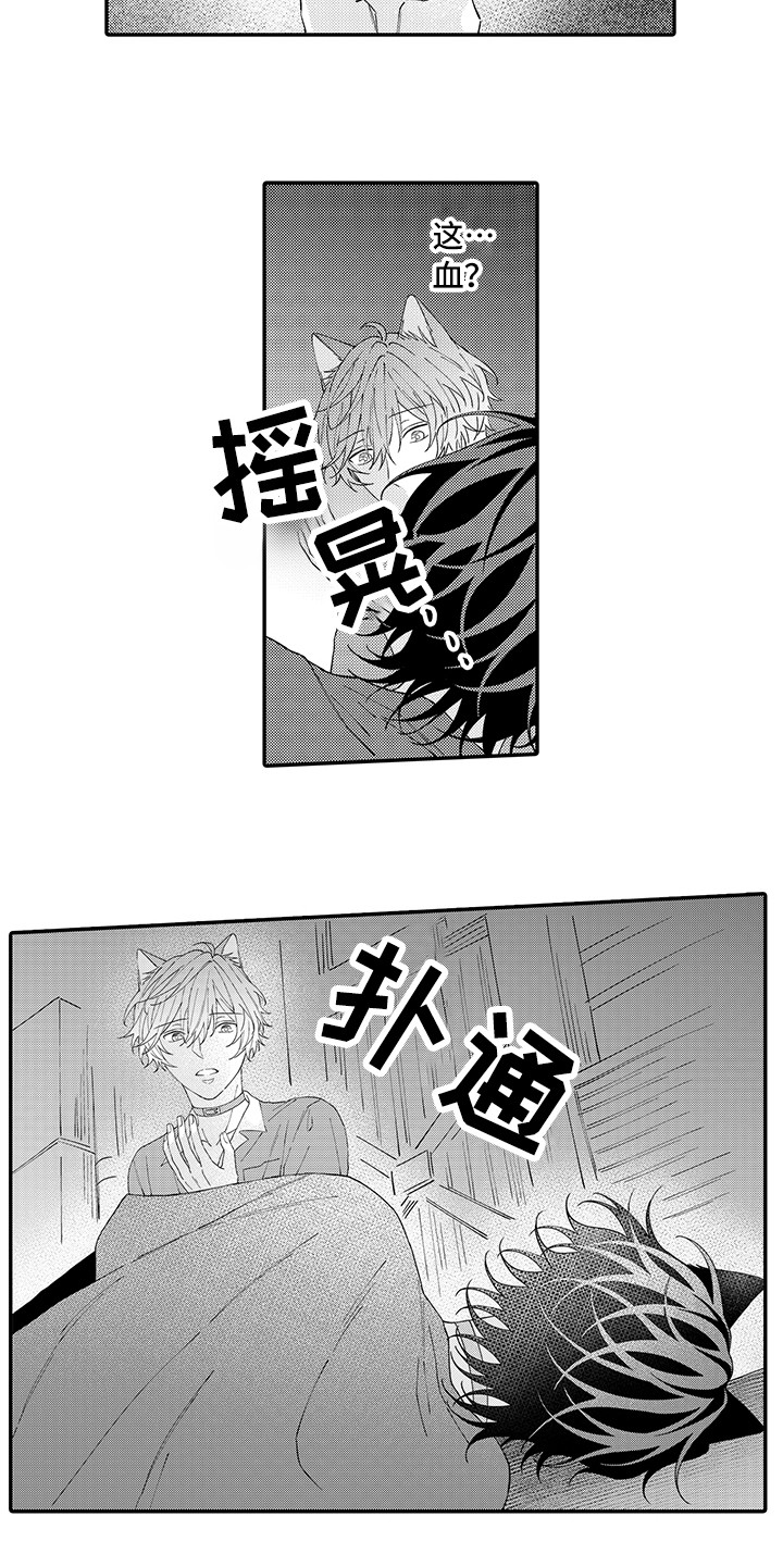 猫咪之家漫画,第18章：受伤了5图