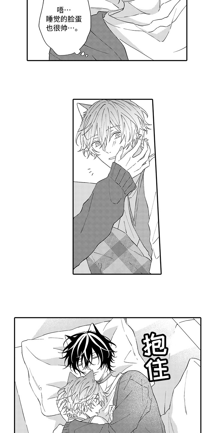 猫咪之家漫画,第9章：心跳加快3图